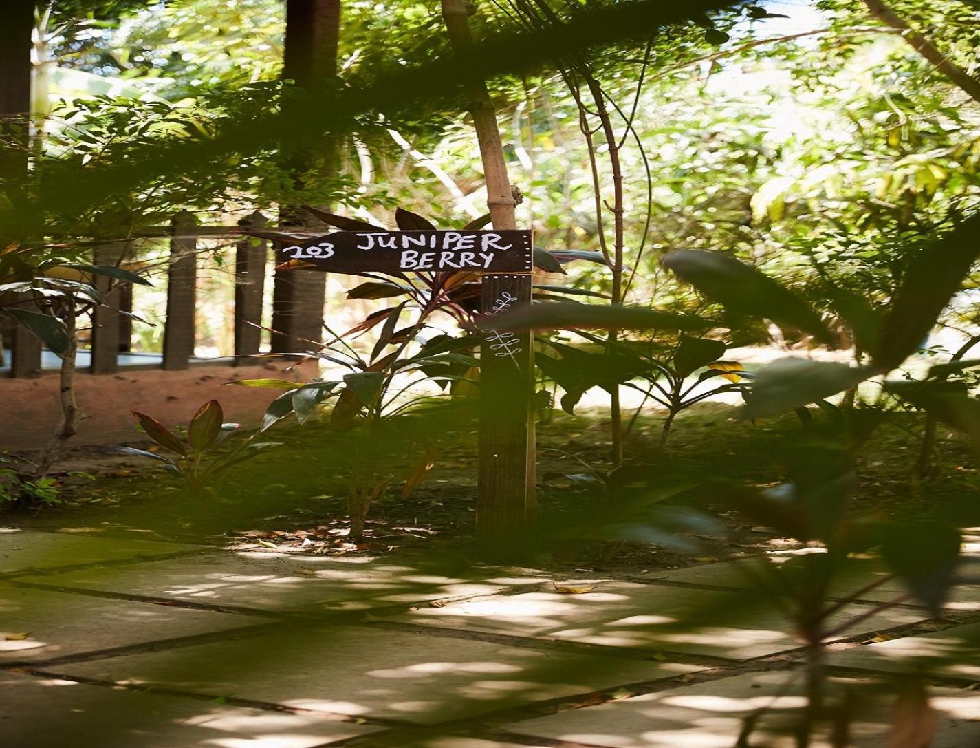 Jamboree Creek Yoga Mandrem Esterno foto